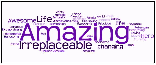 Word map: At the end of the online questionnaire, respondents were asked to give one word that they feel describes their dog. A word map of the responses is given below. In this word map, the size of the word corresponds to its popularity. So, as the word map below shows, the words “amazing” and “irreplaceable” were most commonly used by disabled young people.